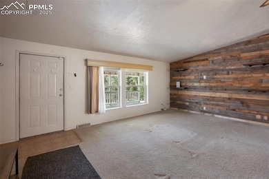1011 W Bison Creek Trail, Divide, CO 80814 - photo 6
