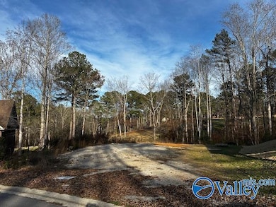 Lot 2 Oak Ridge Way, Cherokee Ridge, AL 35175 - photo 3