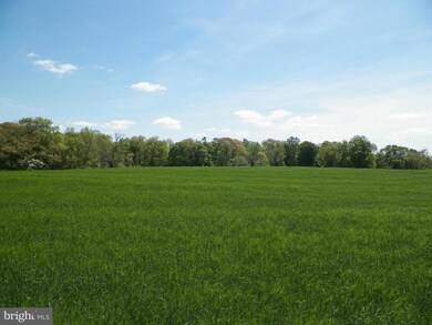 956 Glebe Rd, Earleville, MD 21919 - photo 4