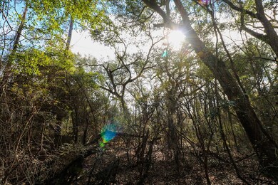 2200 Wyndham Way, Bainbridge, GA 39819 - photo 5