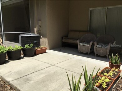 Rear Patio