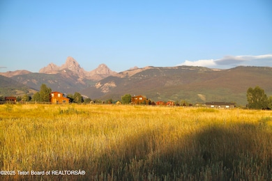 ONeil Saddlehorn-7377