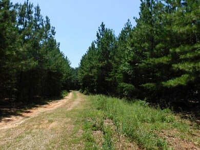 Road way to property
