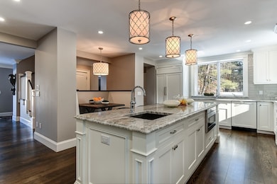 21 Aly Raisman Way, Needham, MA 02492 - photo 5