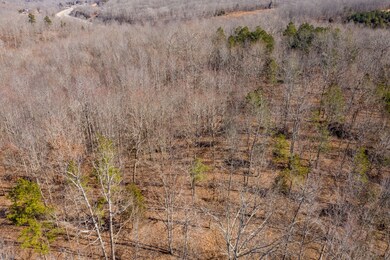 210 Saddlebrook Dr, Hohenwald, TN 38462 - photo 7