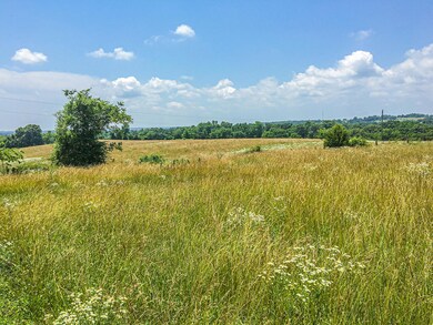 732 Muskego Rd, Nixa, MO 65714 - photo 4