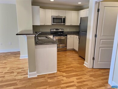 1625 Elmwood Ct unit 205, Charlottesville, VA 22903 - photo 4
