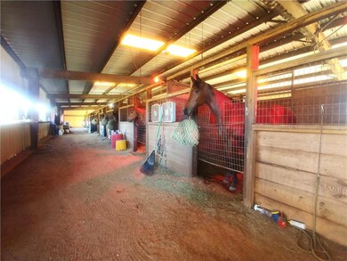 Shedrow