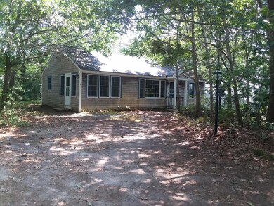 birch front far