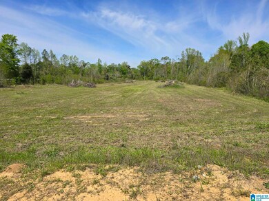 0 Highway 82 unit 21381429, Maplesville, AL 36750 - photo 2