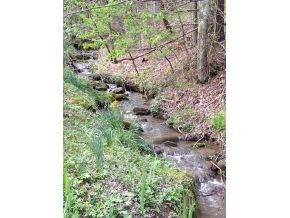 Creek