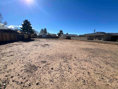 818 Larkspur St unit 10, Alamogordo, NM 88310 - photo 2