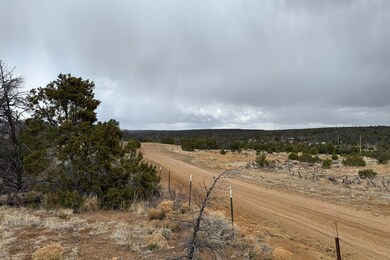 0 Edgewood Dr unit 25503300, Ramah, NM 87321 - photo 7
