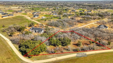 170 Hansma Way, Weatherford, TX 76087 - photo 6