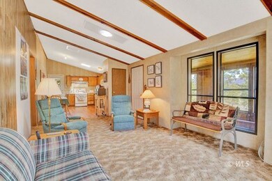 184 Apache Rd, Silver Cliff, CO 81252 - photo 3