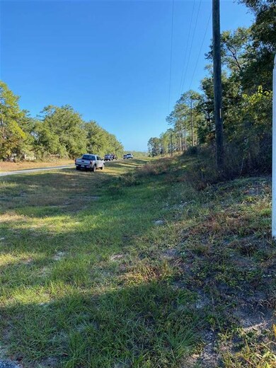 xx Harvey-Melton Rd, Crawfordville, FL 32327 - photo 4