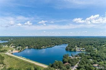 0 Calista Dr, Perry Township, MO 63628 - photo 4