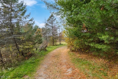 View of dirt / gravel road