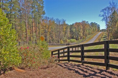 1170 Waterstone Dr, Madison, GA 30650 - photo 6