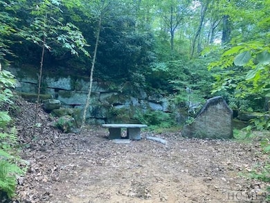 N/A N A, Scaly Mountain, NC 28775 - photo 2