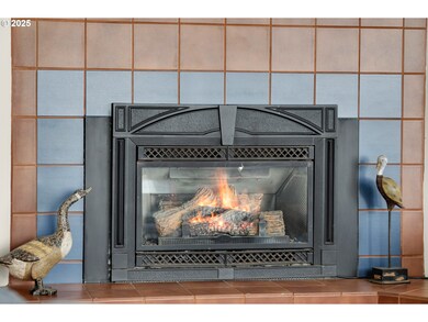Fireplace Gas