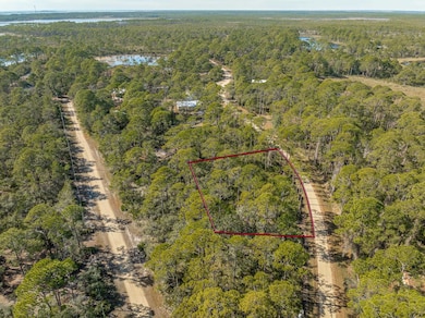 86 Lake View Dr, Bald Point, FL 32346 - photo 3