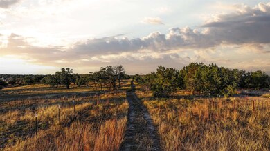 Lot 9A-3 Miller Creek Bluff, Briggs, TX 78608 - photo 4