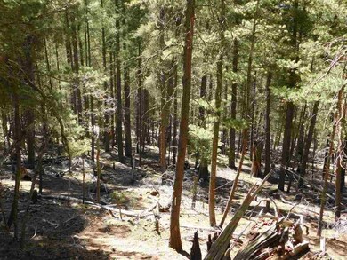 0 Ridgecrest Dr unit 1-3, Alamogordo, NM 88310 - photo 6