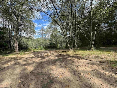 TBD Rapp Dr, Davis, WV 26260 - photo 5