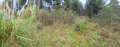 0 Sea Foam Dr, Crescent City, CA 95531 - photo 5