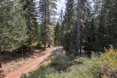 11023 Lowell Hill Rd, Nevada City, CA 95959 - photo 4