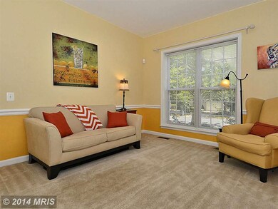 5456 Summer Leaf Ln, Alexandria, VA 22312 - photo 7