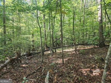 16 Hayden Ct, Ellijay, GA 30540 - photo 7