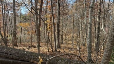 527 Chestnut Grove Cemetery Rd, Bonnieville, KY 42713 - photo 7