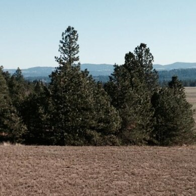 00 N Austin Rd, Colbert, WA 99005 - photo 2