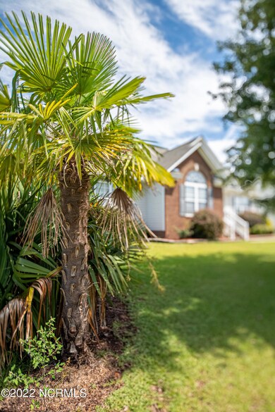 Beautiful Landscaping