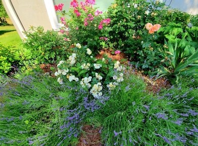 24 Autumn Ln, Amherst, MA 01002 - photo 3