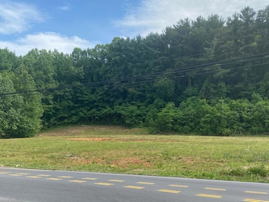 00 Erwin Hwy, Greeneville, TN 37745 - photo 7