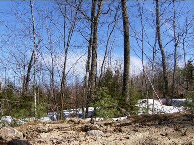 00-A Youngs Hill Rd, Freedom, NH 03836 - photo 6