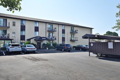 5970-SharonWoods-03
