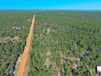 0 Patch Rd unit 990115, Defuniak Springs, FL 32433 - photo 2