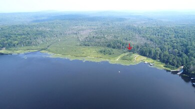 N11415 E Shore Rd, Pearson, WI 54462 - photo 4