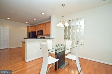 42599 Hollyhock Terrace unit 42599, Brambleton, VA 20148 - photo 6