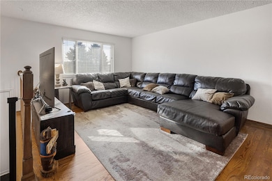 4615 Quail St, Wheat Ridge, CO 80033 - photo 3