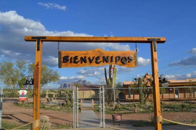 Bienvenidos