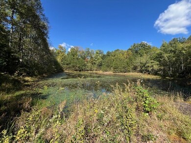 00 Hwy 70 N, Monterey, TN 38574 - photo 5