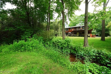 Backyard stream
