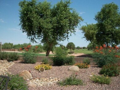 View From Your Patio!