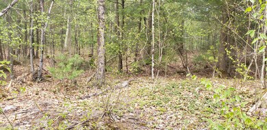 75-1C Mountain Rd, South Berwick, ME 03908 - photo 4