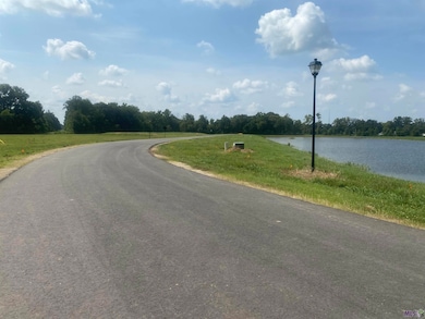 Lot 29 Buddy Gore Rd, Gonzales, LA 70737 - photo 2